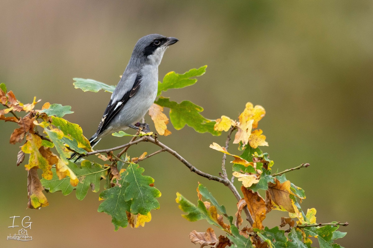 AK6I1969 31 oktober 2021 1545 34